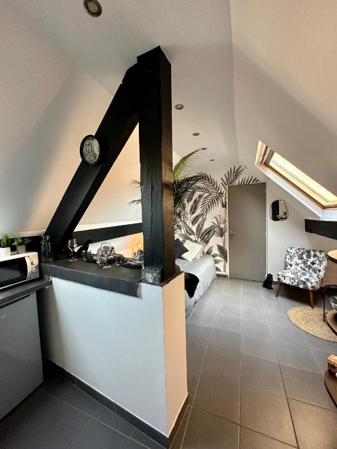 Studio Chaleureux Hypercentre Amiens Exterior photo